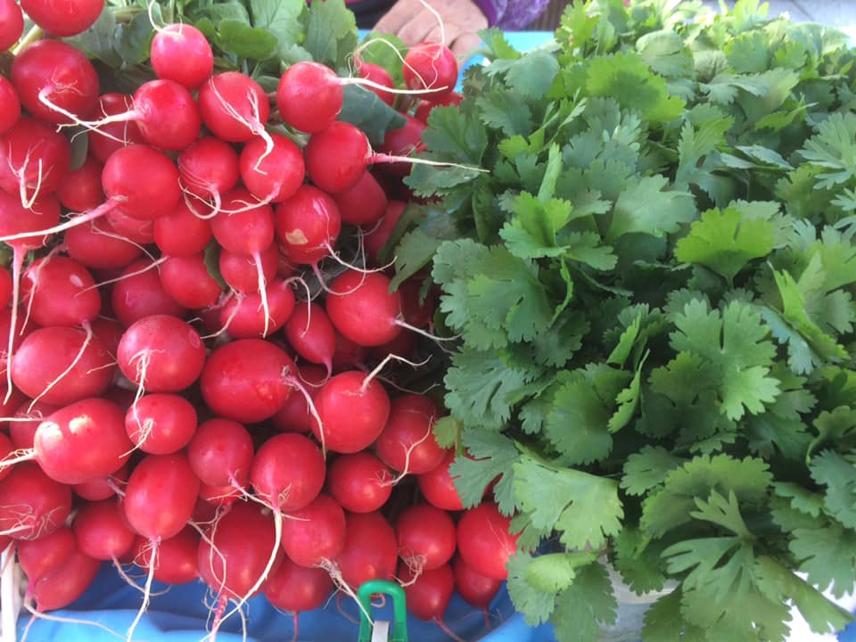 Začínají Roudnické farmářské trhy