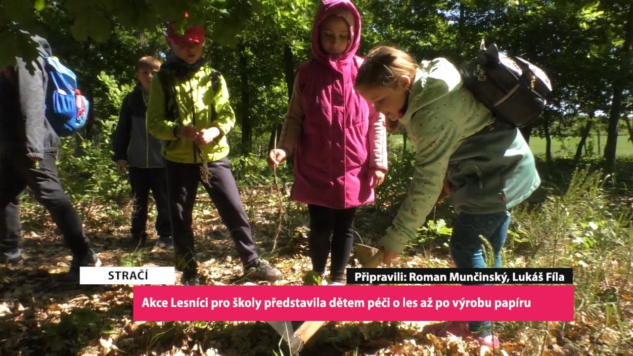 STRAČÍ: Akce Lesníci pro školy představila dětem péči o les až po výrobu papíru