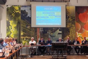 Litoměřice se budou podílet na vzniku nové destinační společnosti Litoměřice se budou podílet na vzniku nové destinační společnosti
