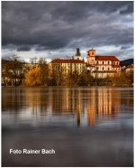 Léto s fotografy: Prošek našel inspiraci ve Stromech, Bach Mezi světlem a barvou