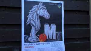 ROUDNICE N.L.: V Čajovně U spícího draka byla zahájena výstava s názvem „ŠACH MAT“