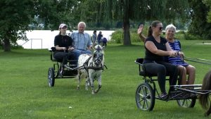 KŘEŠICE: Setkání seniorů v Křešicích se neslo ve znamení pestrého programu a krásného počasí