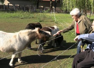 TEREZÍN: Sportovní hry v SeniorCentru SeneCura