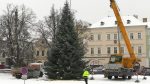 FOTOGALERIE: Litoměřické náměstí už má svůj vánoční strom. Čeká jen na ozdobení
