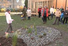 ŠTĚTÍ: Žáci ZŠ T. G. Masaryka s ohledem na změnu klimatu zvelebili školní zahradu