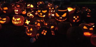 LITOMĚŘICE: Vesnička Dýňov na ZŠ Masarykova