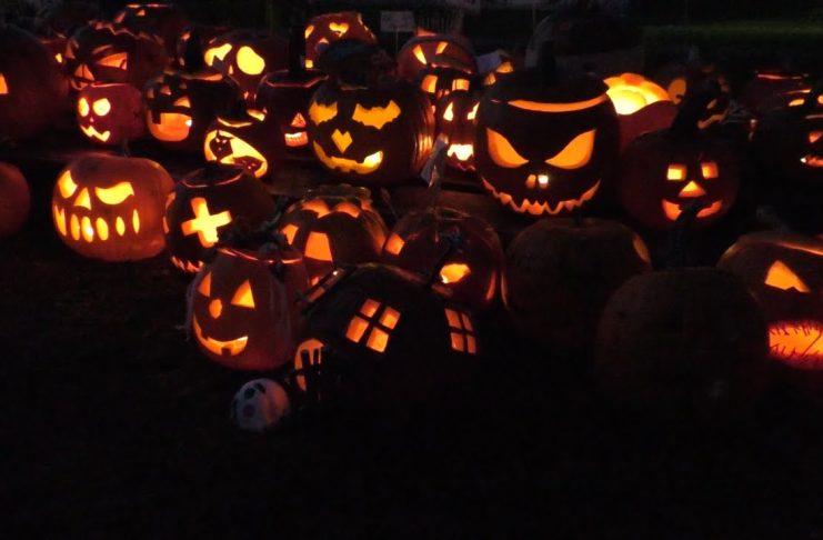 LITOMĚŘICE: Vesnička Dýňov na ZŠ Masarykova