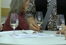 TŘEBENICE: Košt (nejen) mladých vín letos s pěti vinaři