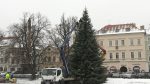 LITOMĚŘICE: Vánoční strom i výzdoba se rozsvítí už tuto neděli 30. listopadu