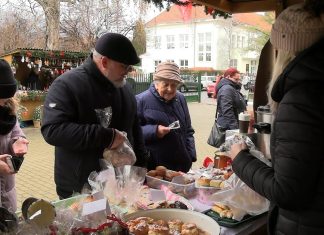 LOVOSICE: ZŠ Antonína Baráka opět uspořádala Vánoční jarmark