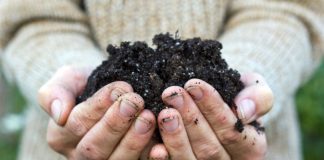 Probuď město, kompostuj! V Lovosicích si vyrobíte vlastní seedbombu