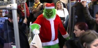 FOTOGALERIE: I Grinch jezdí se Švestkovou Dráhou. Dnes, a ještě i zítra na trase Litoměřice – Chotiměř