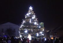 LIBOCHOVICE: Rozsvícení vánočního stromu bylo letos i s živým velbloudem
