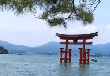 Cestopisná přednáška v knihovně bude tentokrát o Japonsku