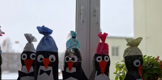 Na ZŠ Všehrdova v Lovosicích děti čeká cesta „Za polární kruh“