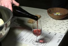 FOTOGALERIE: Lovosice žijí vínem. Zimní košt vín je v plném proudu!