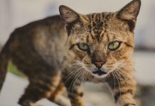 LITOMĚŘICE: Hrad Litoměřice hostí fotografickou výstavu „Naše obyčejné cesty do neobyčejného světa“