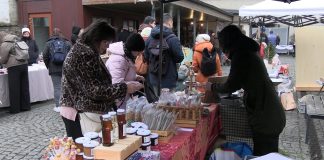 LITOMĚŘICE: Vánoční jarmark na Tržnici F. Holzmanna