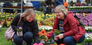 Začal cenově zvýhodněný předprodej vstupenek na Tržnici Zahrady Čech