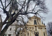 Mezi kořeny a novým pramenem: Zamyšlení nad proměnou Dómského pahorku + Fotogalerie