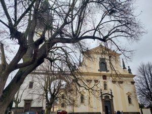 Mezi kořeny a novým pramenem: Zamyšlení nad proměnou Dómského pahorku + Fotogalerie