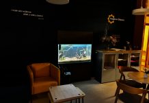 Akvárium v Hospici sv. Štěpána se kompletně proměnilo a svítí