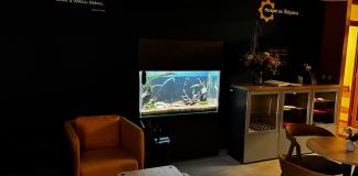 Akvárium v Hospici sv. Štěpána se kompletně proměnilo a svítí