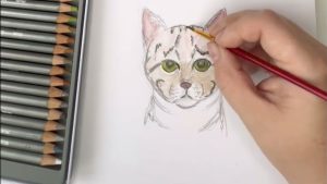 Městská knihovna Lovosice zahájila dětskou výtvarnou soutěž „Kočičí svět“