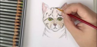 Městská knihovna Lovosice zahájila dětskou výtvarnou soutěž „Kočičí svět“