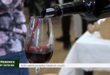 Třebenický košt tuto sobotu představí nové vinaře