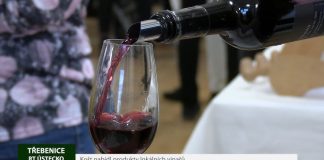 Třebenický košt tuto sobotu představí nové vinaře