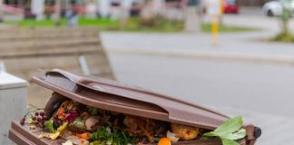 V Roudnici nad Labem začíná sezóna svozu bioodpadu. První hnědé popelnice se vyprázdní koncem února