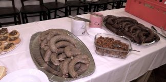 VELKÉ ŽERNOSEKY: Masopustní hody letos zpříjemnila harmonika