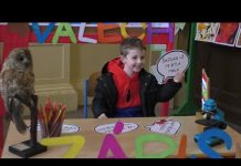 LITOMĚŘICE: Proběhly zápisy do prvních tříd. Prvňáčků bude podobně jako loni