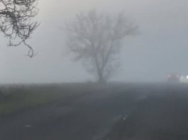 DOPRAVNÍ KOLAPS: D8 u Roudnice bude uzavřena až do oběda, kolona měří 13 kilometrů