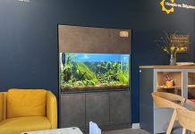 Akvárium v Hospici sv. Štěpána je hotové, plavou v něm i rybky