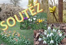 UKAŽTE NÁM JARO: Soutěžte s námi o vstupenky na Tržnici Zahrady Čech!