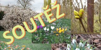 UKAŽTE NÁM JARO: Soutěžte s námi o vstupenky na Tržnici Zahrady Čech!