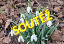 UKAŽTE NÁM JARO: Soutěžte s námi o vstupenky na Tržnici zahrady Čech!