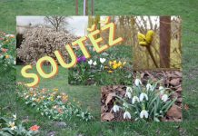 UKAŽTE NÁM JARO: Soutěžte s námi o vstupenky na Tržnici Zahrady Čech!