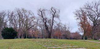 V soutěži o nové dílo v Jiráskových sadech se sešlo 39 návrhů