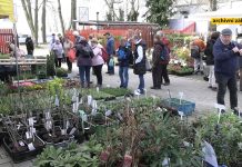 LITOMĚŘICE: Jarní Tržnice Zahrady Čech se kvapem blíží