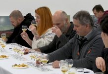 LITOMĚŘICE: Zahrada Čech opět hostí nejprestižnější pivovarnickou soutěž