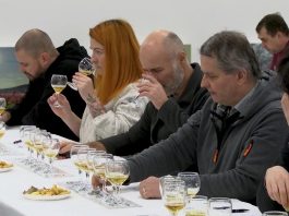 LITOMĚŘICE: Zahrada Čech opět hostí nejprestižnější pivovarnickou soutěž