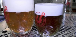 MLÉKOJEDY: Hákův parní pivovar na Velikonoce uvařil zelené pivo