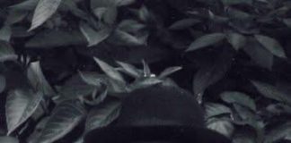 Nová výstava v Památníku Terezín připomene významného rabína Richarda Federa