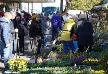 FOTOGALERIE: V Litoměřicích odstartovala oblíbená Tržnice Zahrady Čech