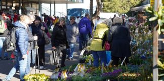 FOTOGALERIE: V Litoměřicích odstartovala oblíbená Tržnice Zahrady Čech