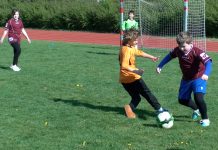 LITOMĚŘICE: ZŠ Havlíčkova uspořádala McDonald’s Cup pro malé fotbalisty