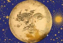 Chceš zažít Litoměřickou muzejní noc zevnitř? Staň se dobrovolníkem!